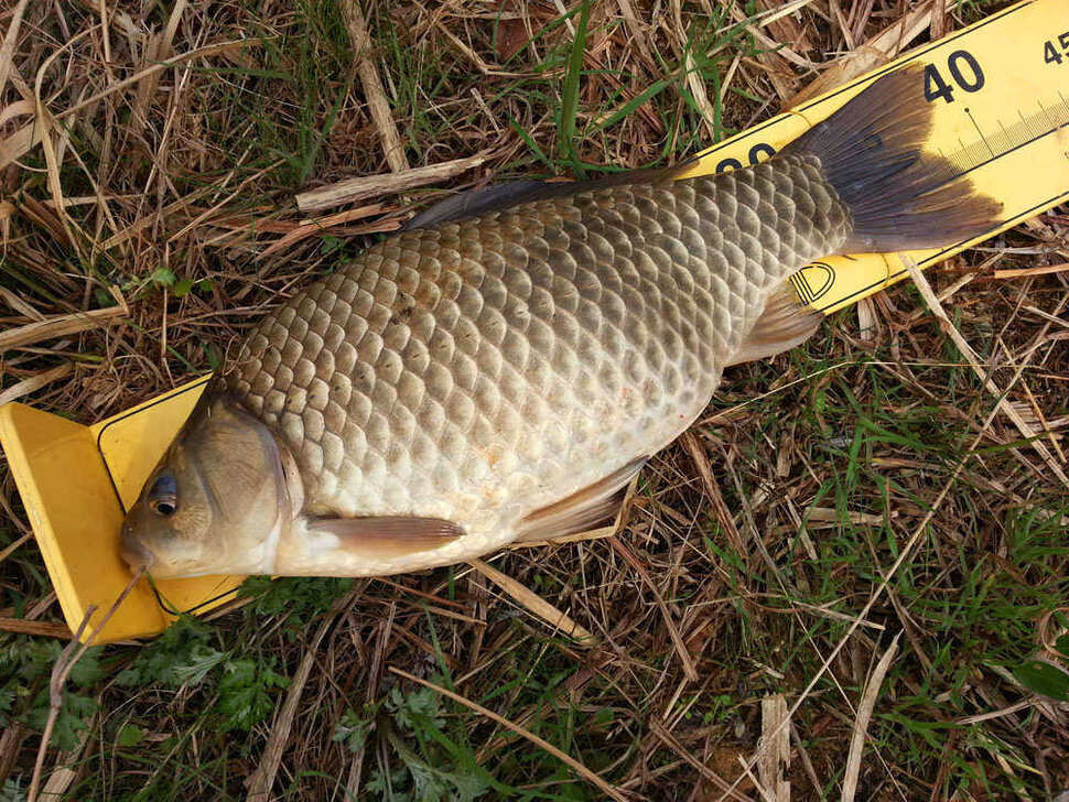 pro_johwang_09370125.jpg