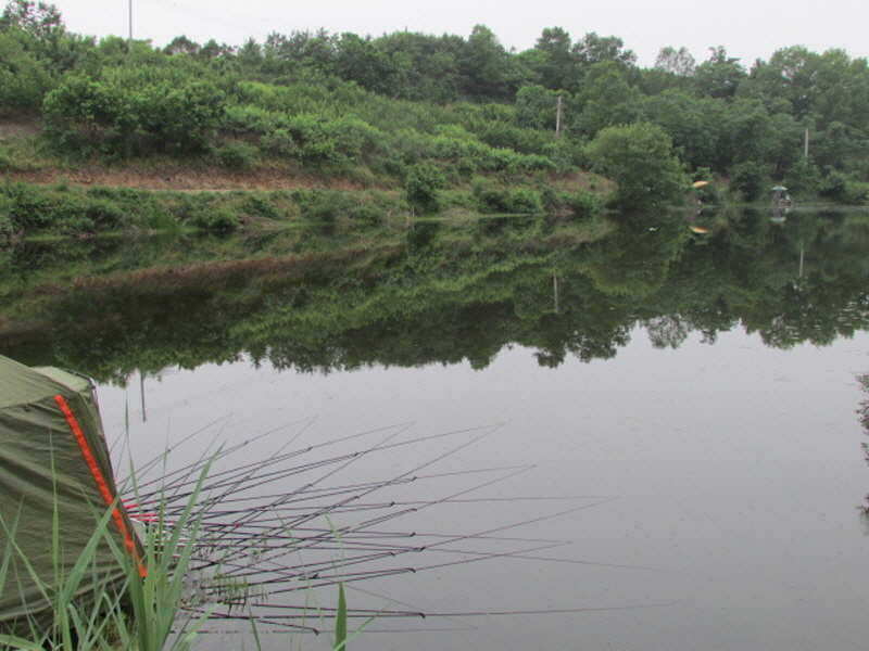 pro_johwang_09392668.jpg