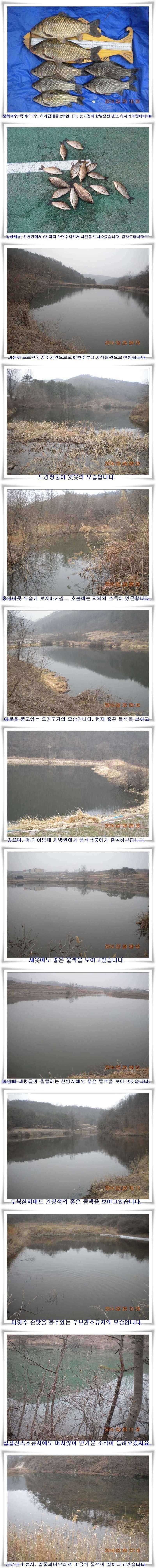 pro_johwang_09502665.jpg