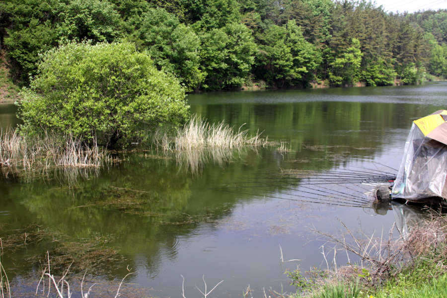 pro_johwang_09514560.jpg