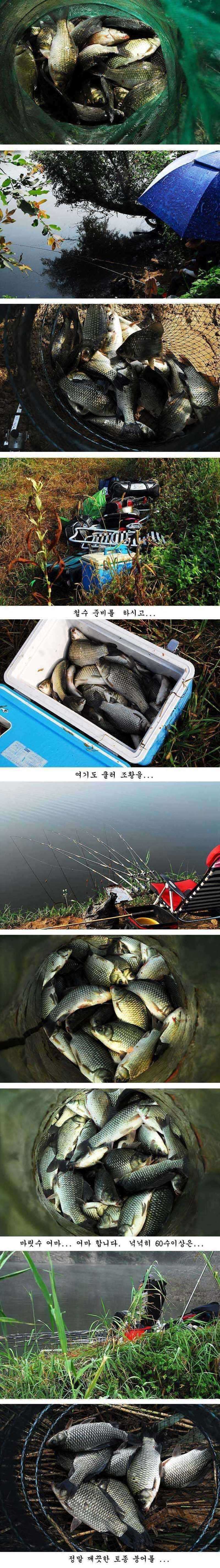 pro_johwang_10055598.jpg