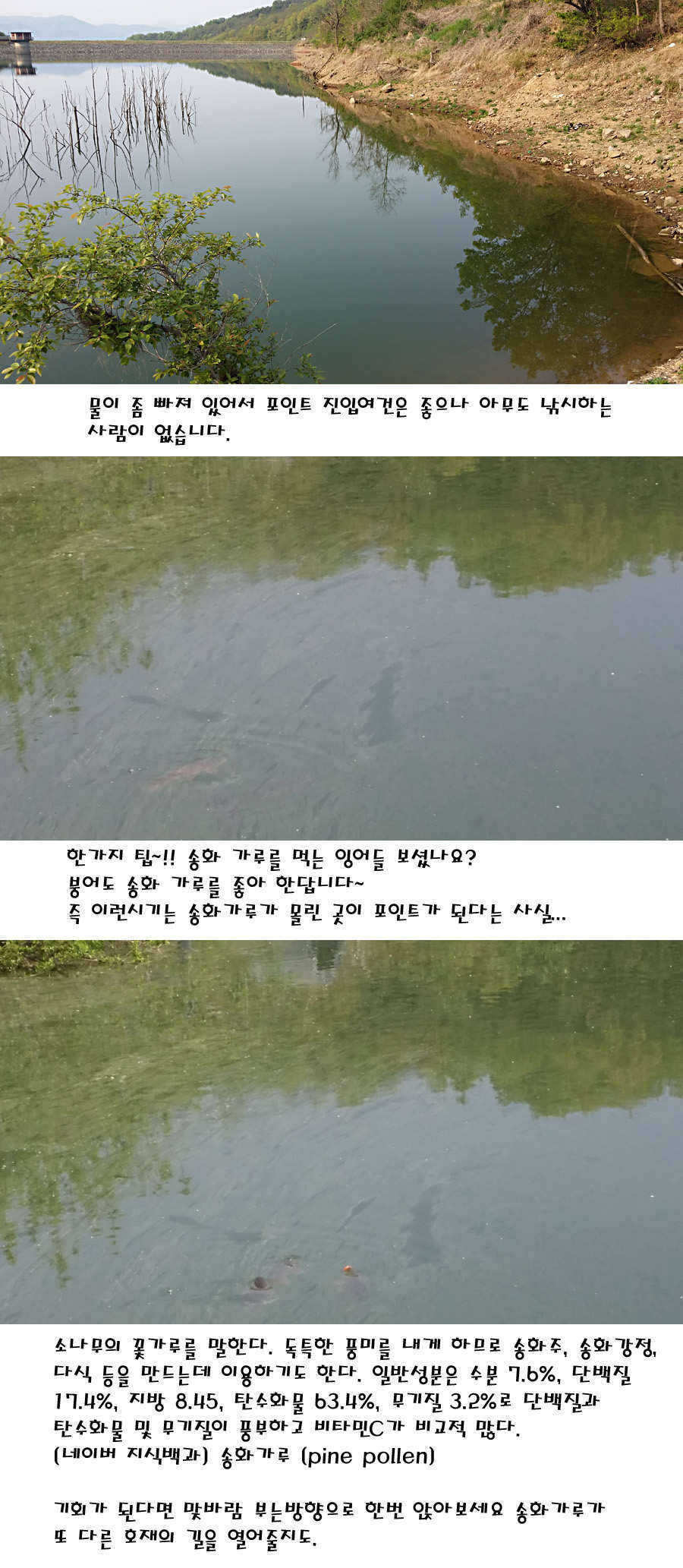 pro_johwang_10120981.jpg