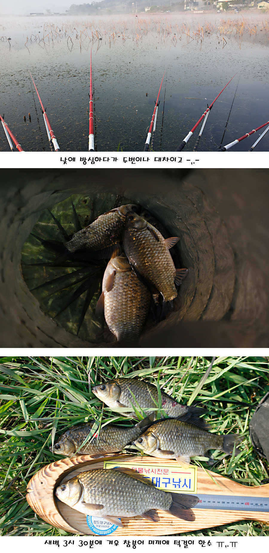 pro_johwang_10125831.jpg