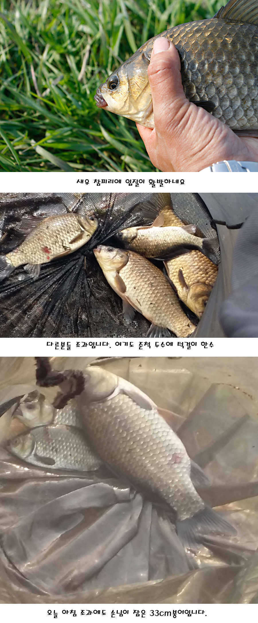 pro_johwang_10130122.jpg