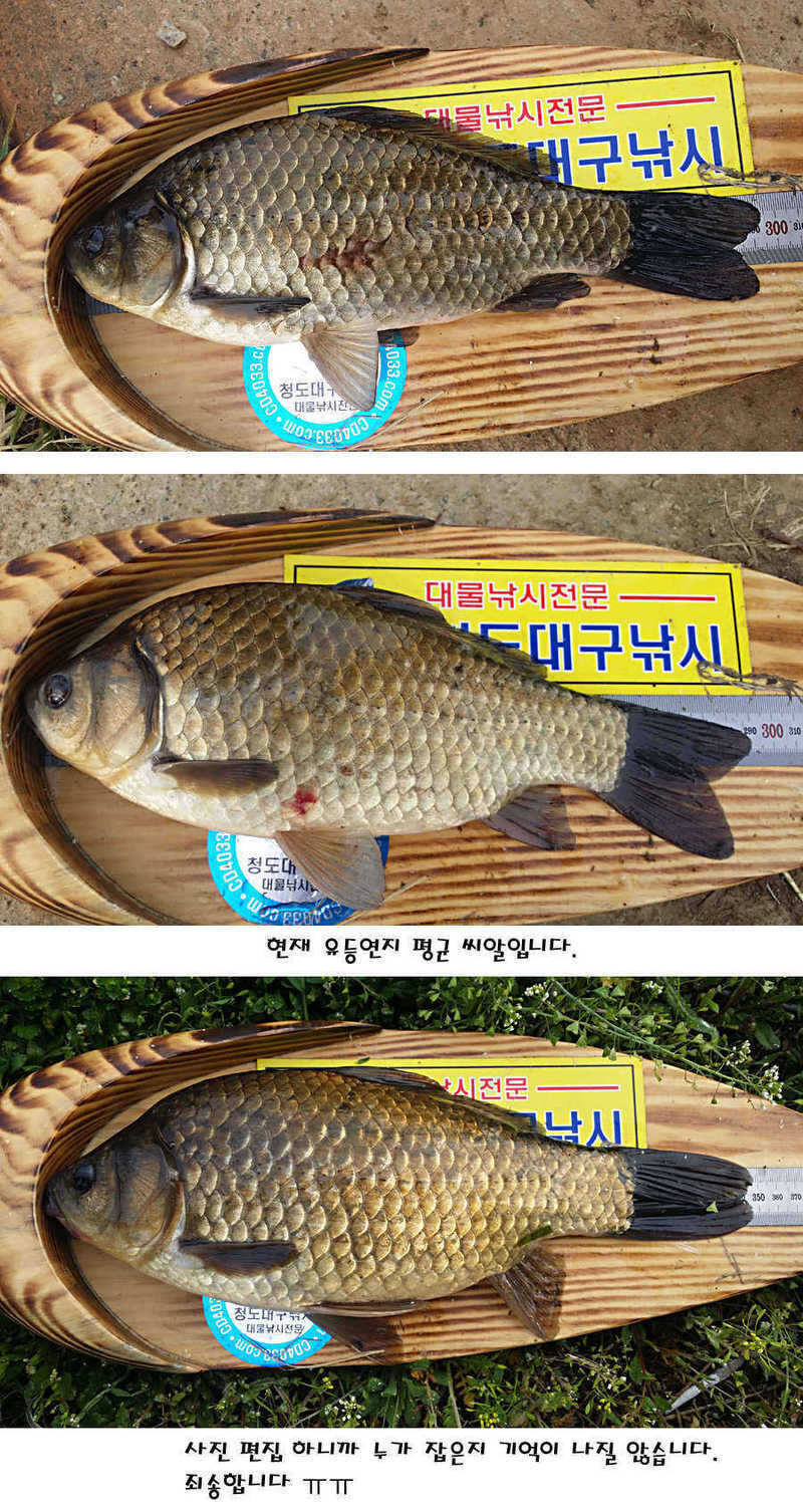 pro_johwang_10130887.jpg