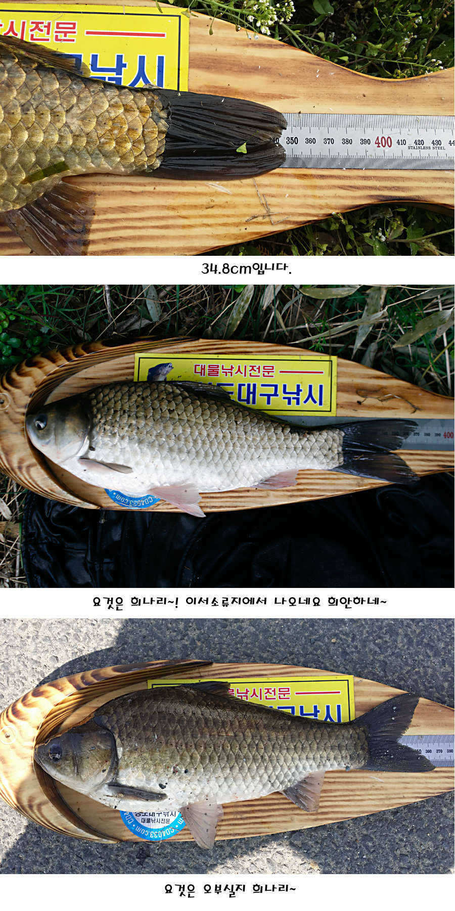 pro_johwang_10131179.jpg