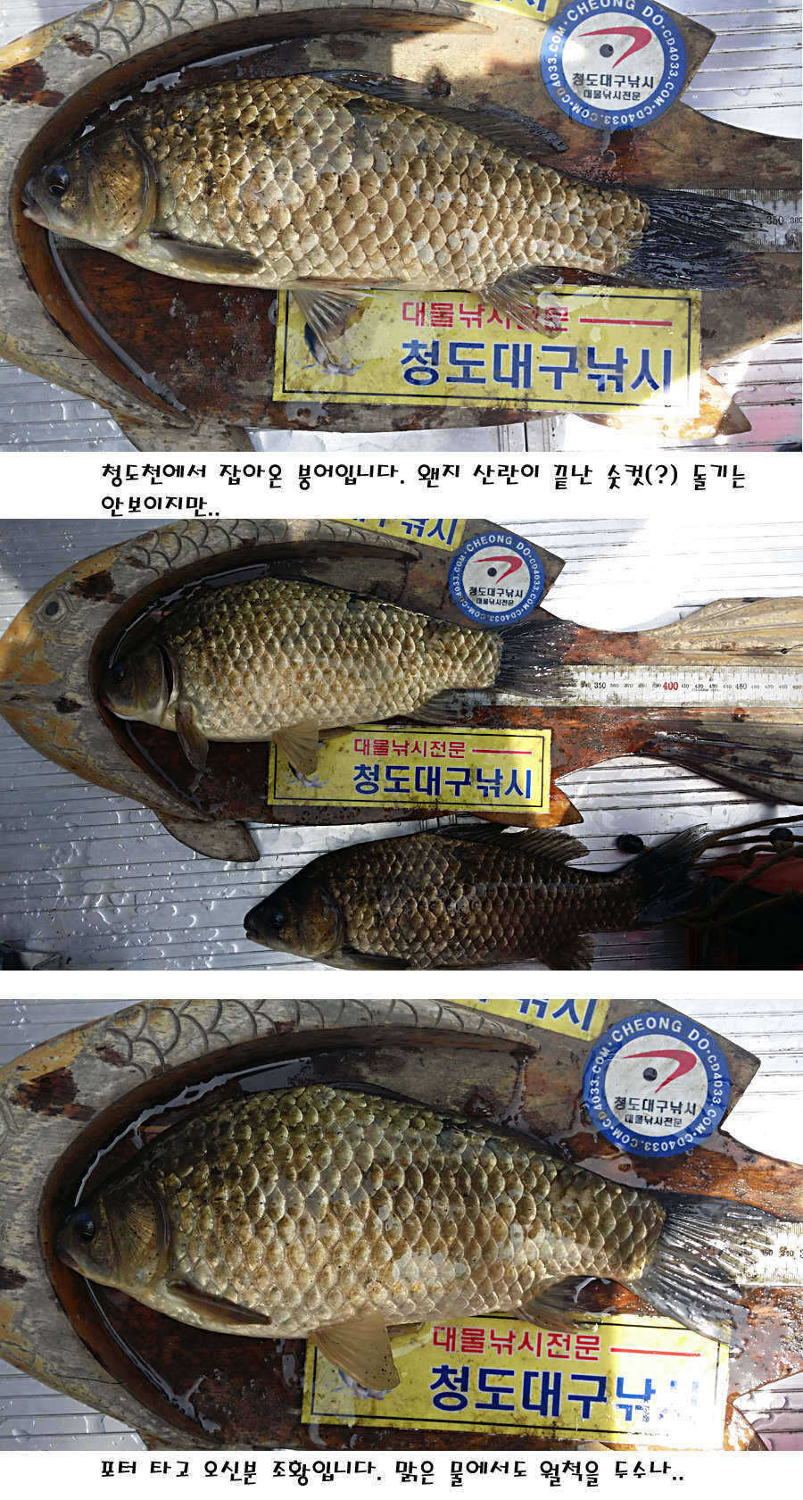 pro_johwang_10131324.jpg