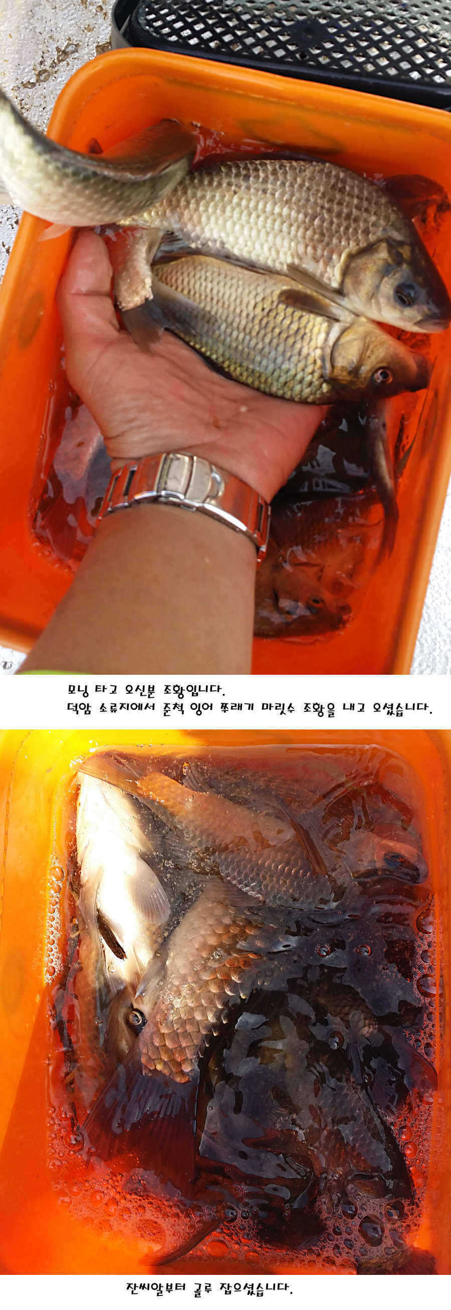 pro_johwang_10132035.jpg