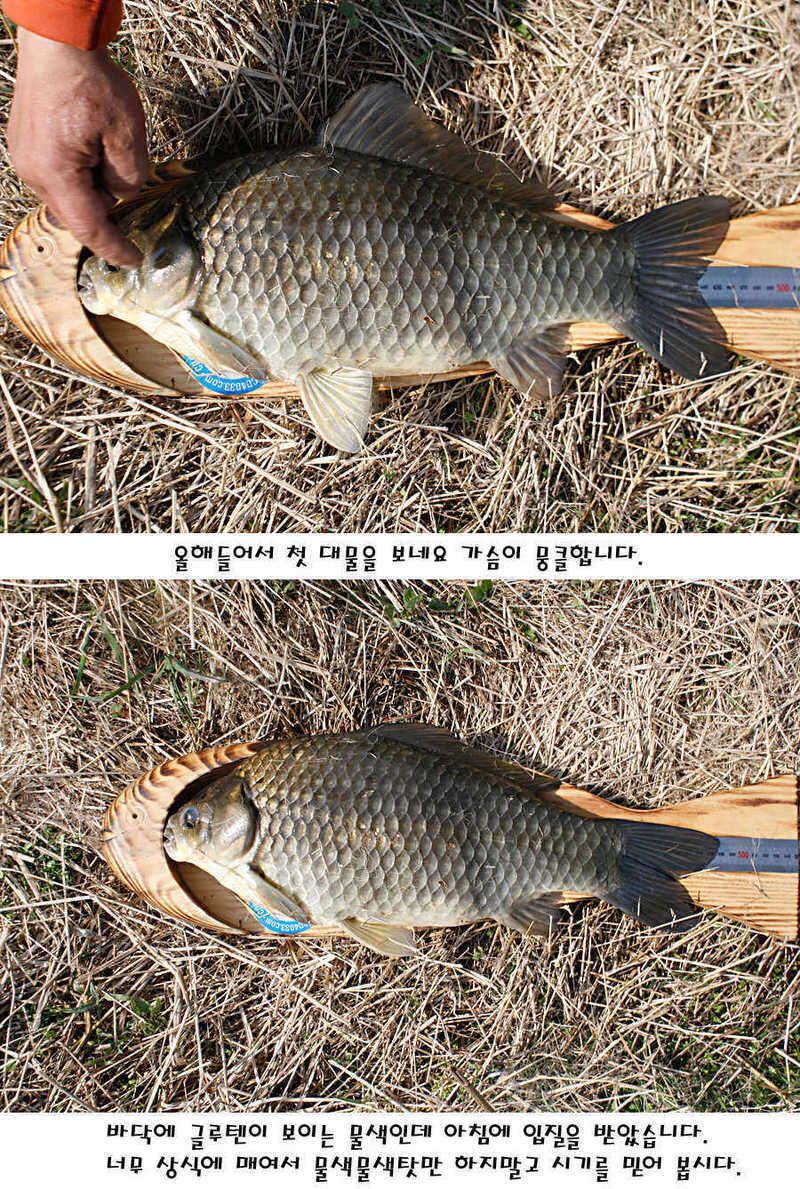 pro_johwang_10133024.jpg
