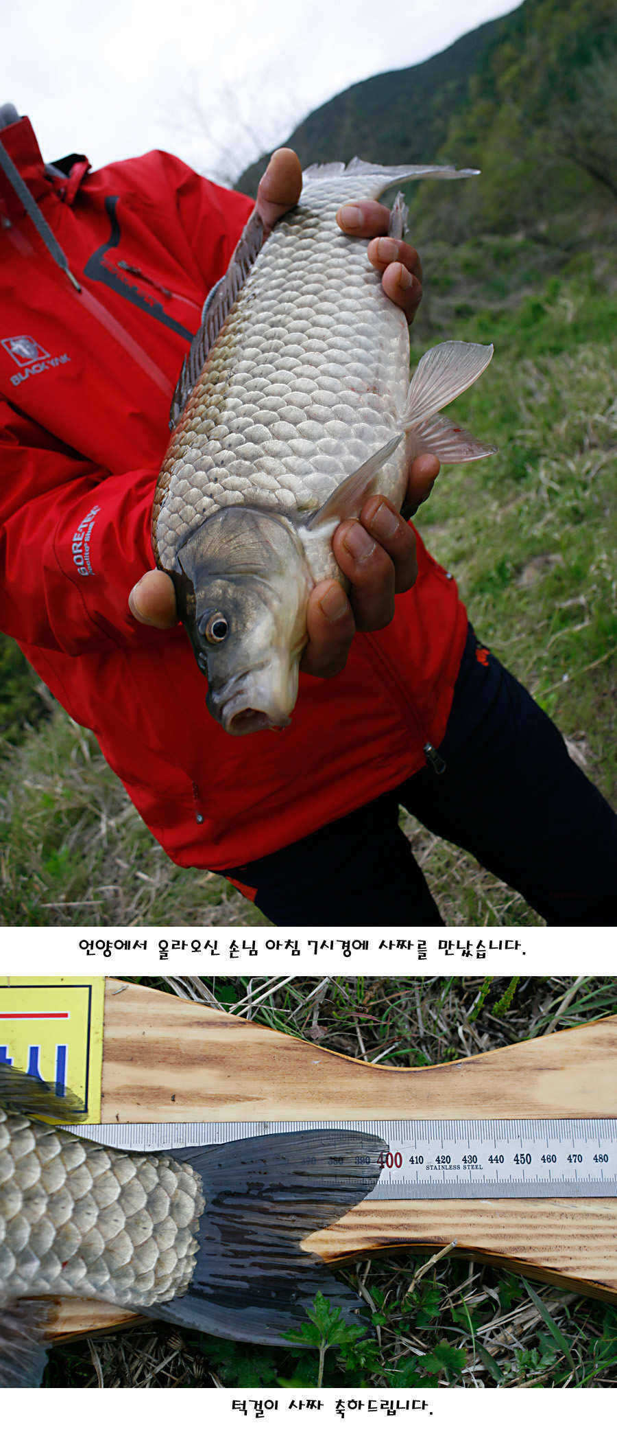 pro_johwang_10133670.jpg