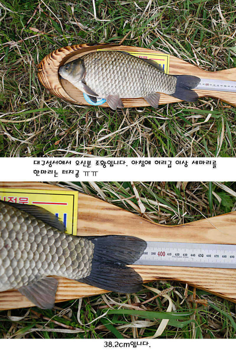 pro_johwang_1013415.jpg