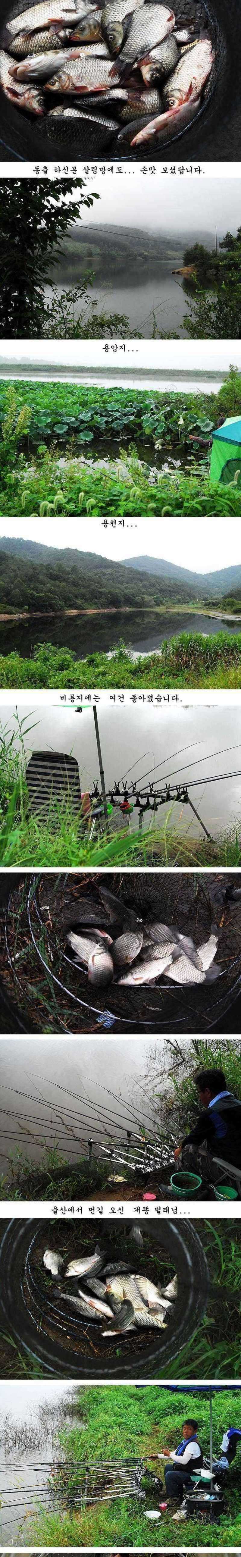 pro_johwang_10174339.jpg