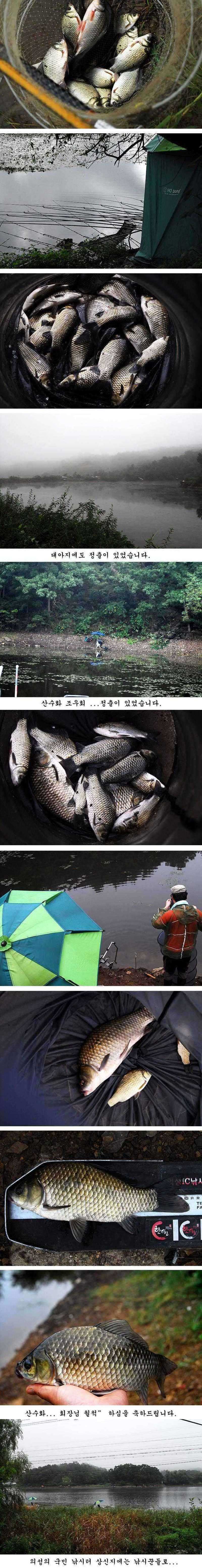 pro_johwang_10175177.jpg
