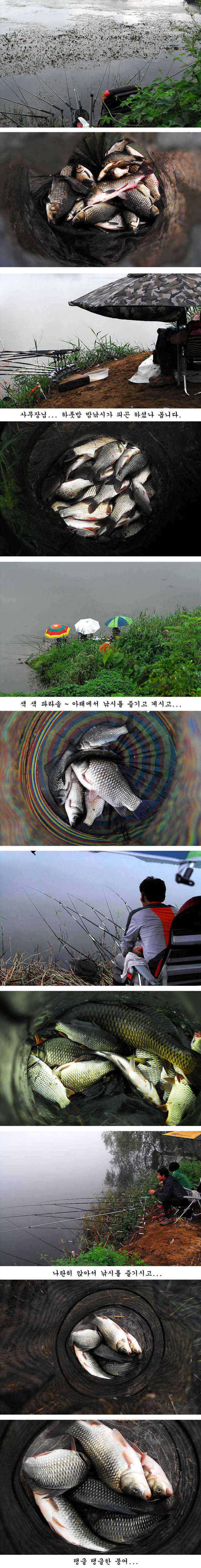 pro_johwang_10181317.jpg
