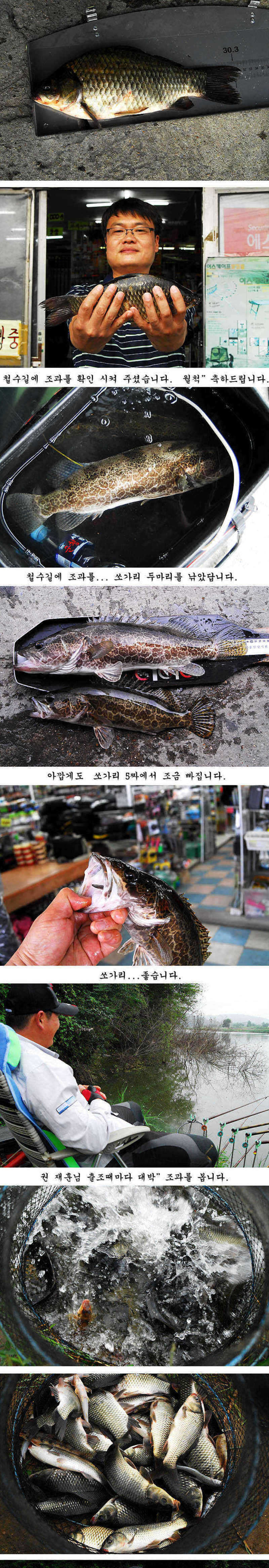 pro_johwang_10181769.jpg