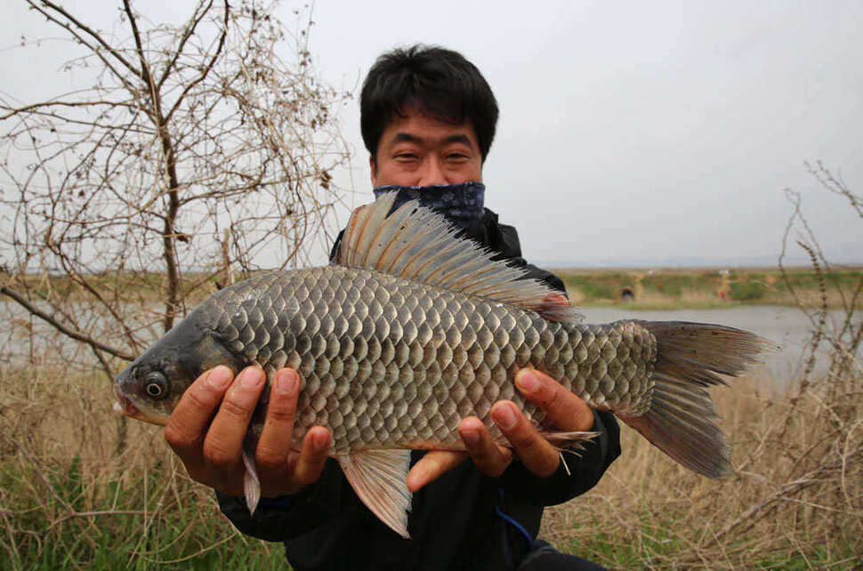 pro_johwang_10211234.jpg