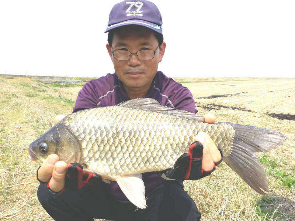 pro_johwang_10280118.jpg