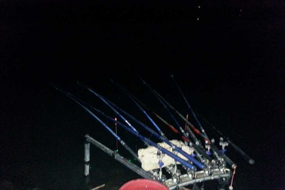 pro_johwang_10290274.jpg
