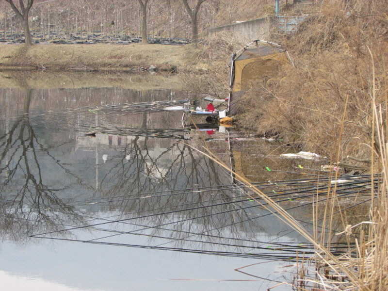 pro_johwang_1030099.jpg