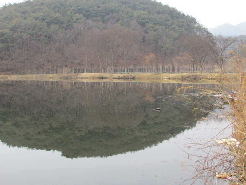 pro_johwang_10303967.jpg