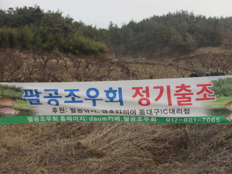 pro_johwang_10360359.jpg