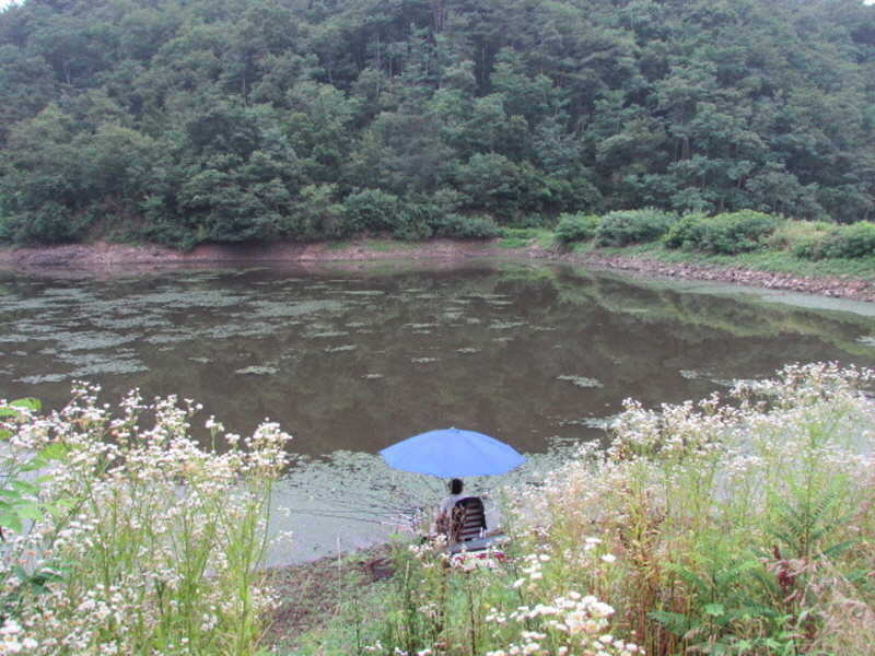 pro_johwang_1038427.jpg