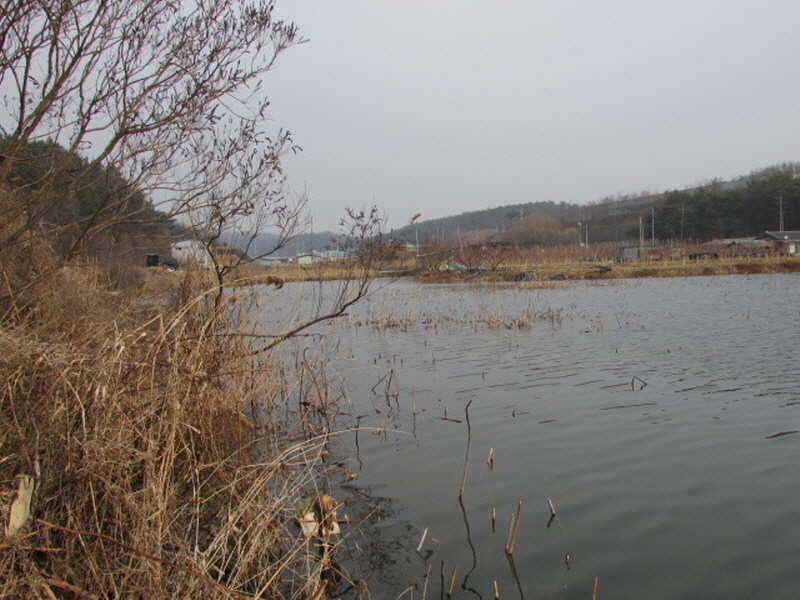 pro_johwang_10442052.jpg