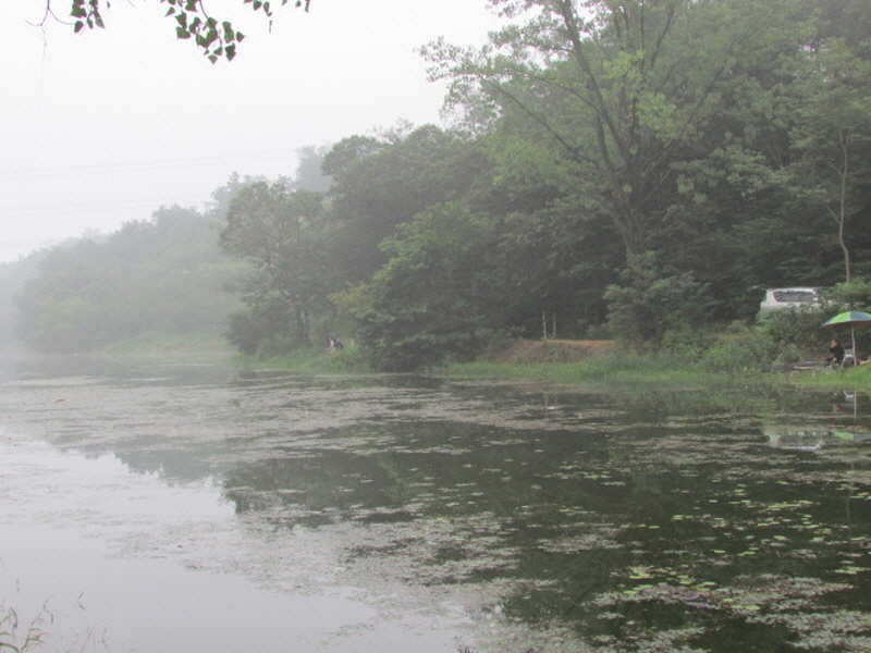 pro_johwang_11001694.jpg