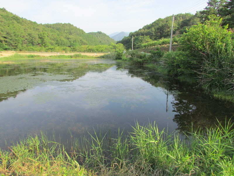 pro_johwang_11215373.jpg