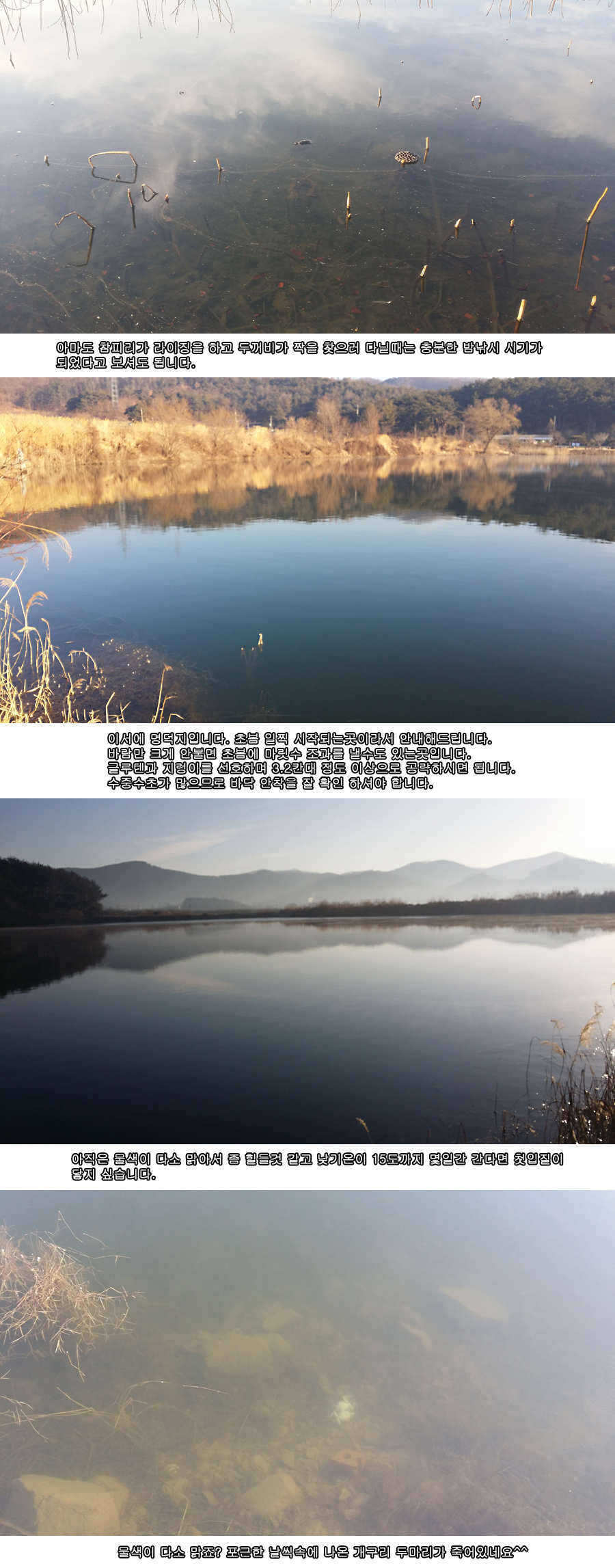 pro_johwang_11220580.jpg