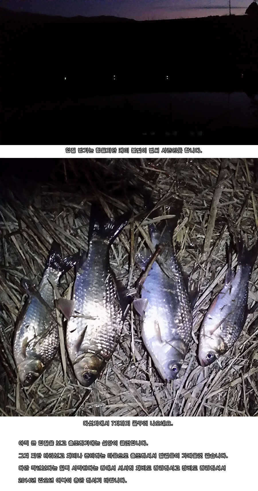 pro_johwang_11221258.jpg