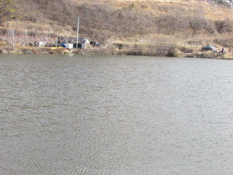 pro_johwang_11241257.jpg