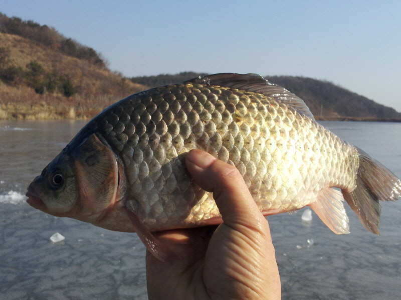 pro_johwang_11252124.jpg