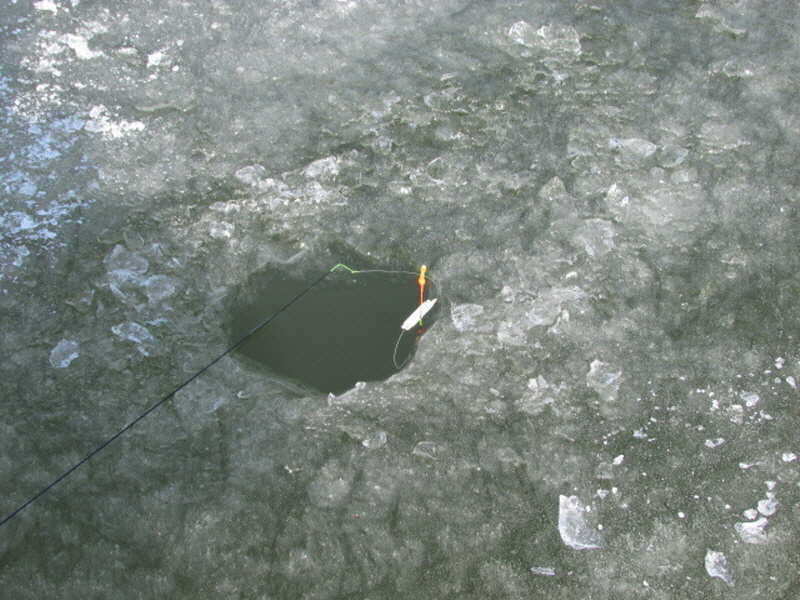 pro_johwang_11300297.jpg