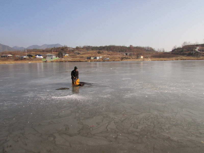 pro_johwang_11302312.jpg