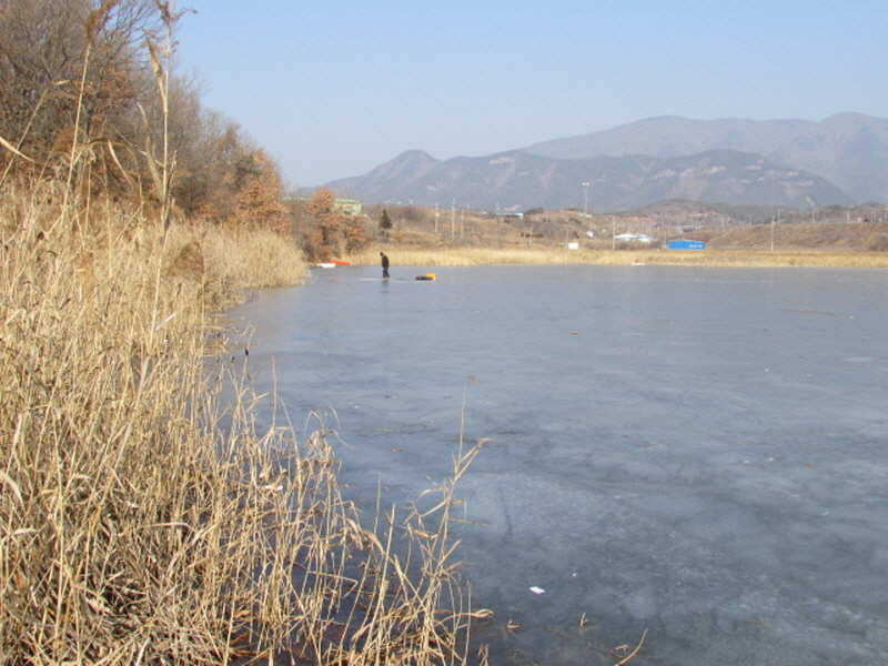 pro_johwang_11304935.jpg