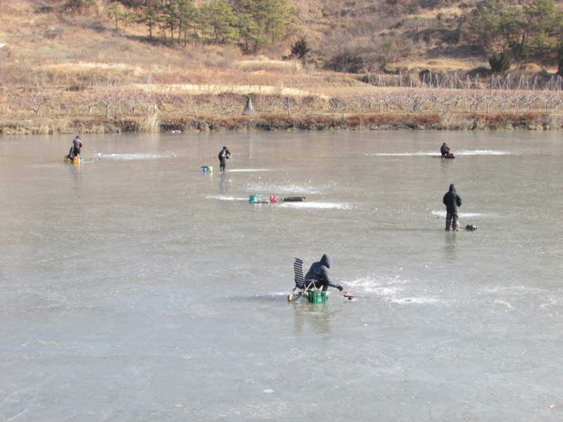 pro_johwang_11331177.jpg