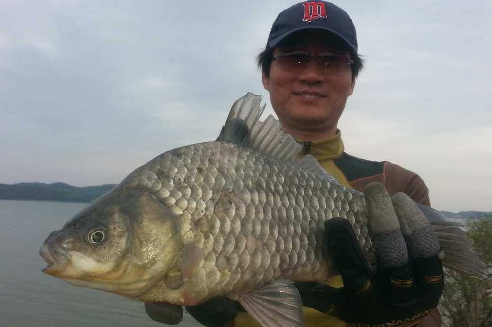 pro_johwang_11374116.jpg