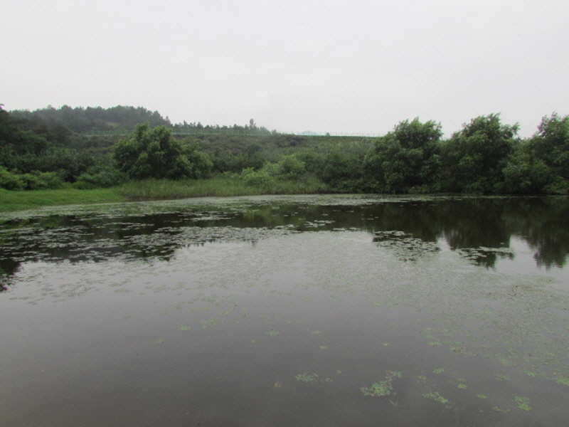 pro_johwang_11552120.jpg