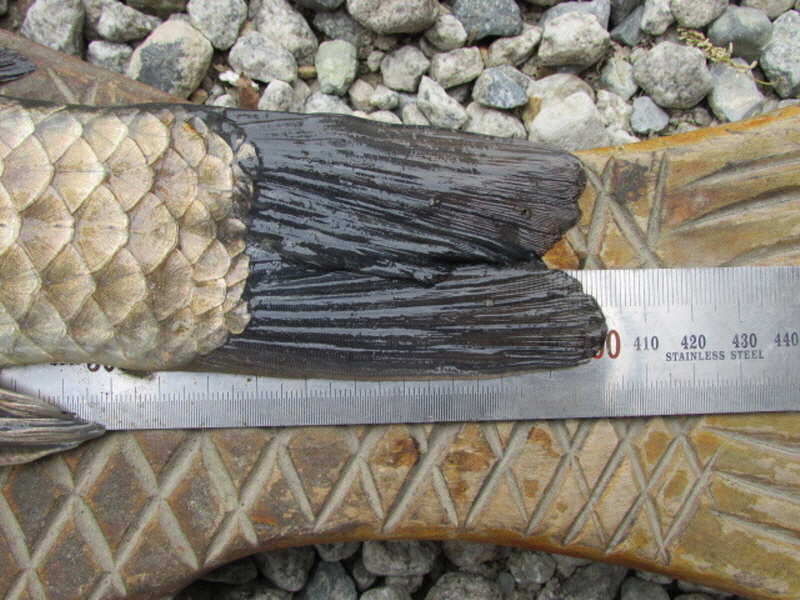 pro_johwang_12011217.jpg