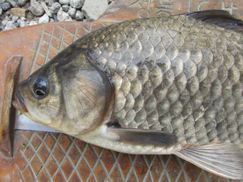 pro_johwang_12012130.jpg