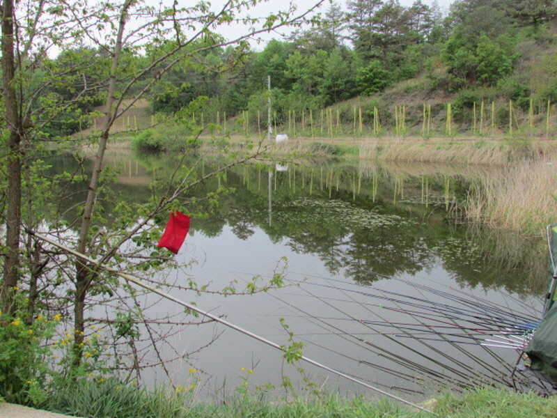 pro_johwang_12031924.jpg