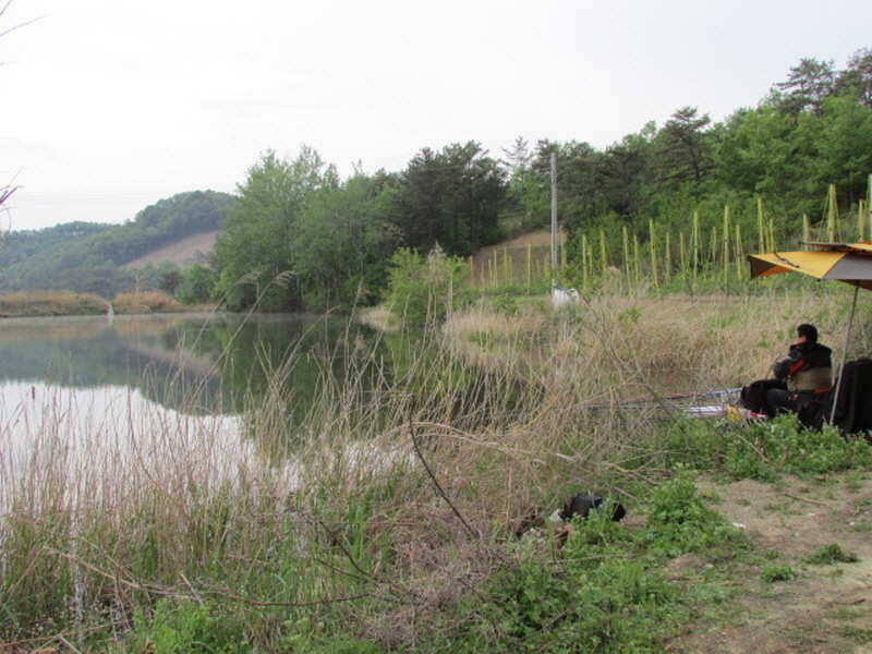 pro_johwang_12032874.jpg