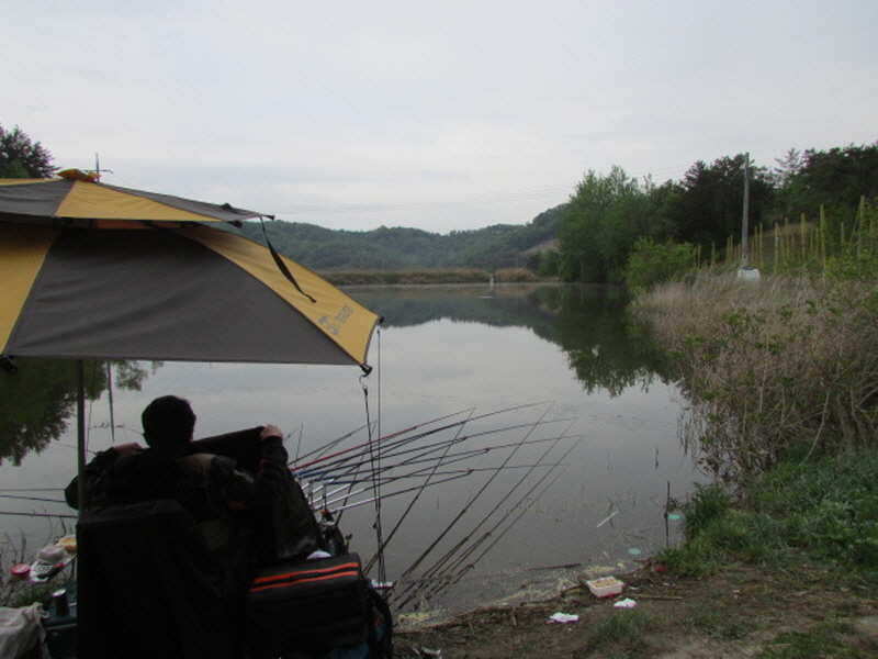pro_johwang_12040119.jpg