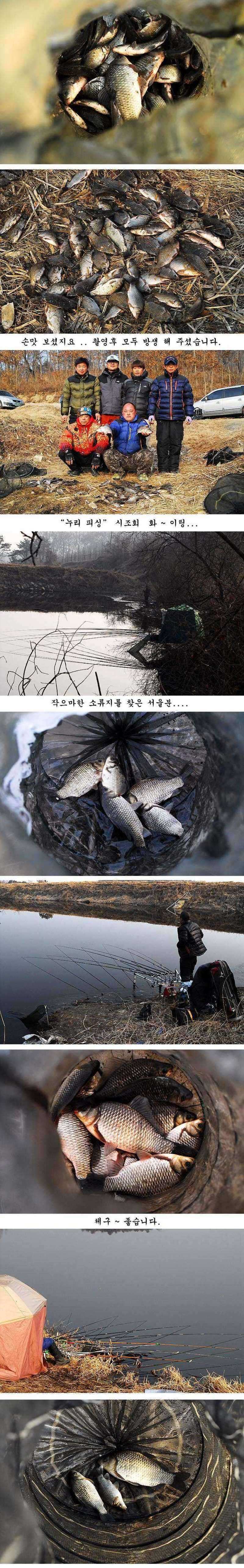 pro_johwang_12054186.jpg