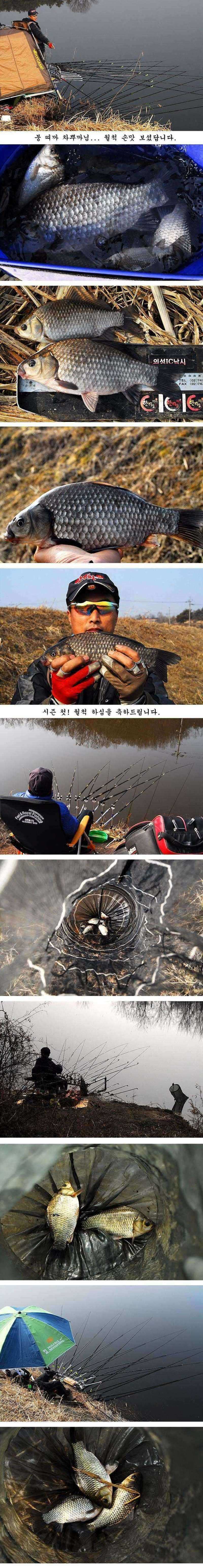 pro_johwang_12054340.jpg