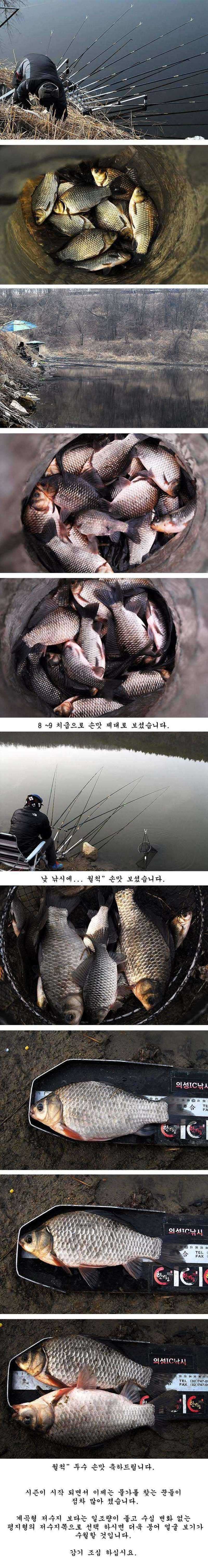 pro_johwang_12054849.jpg