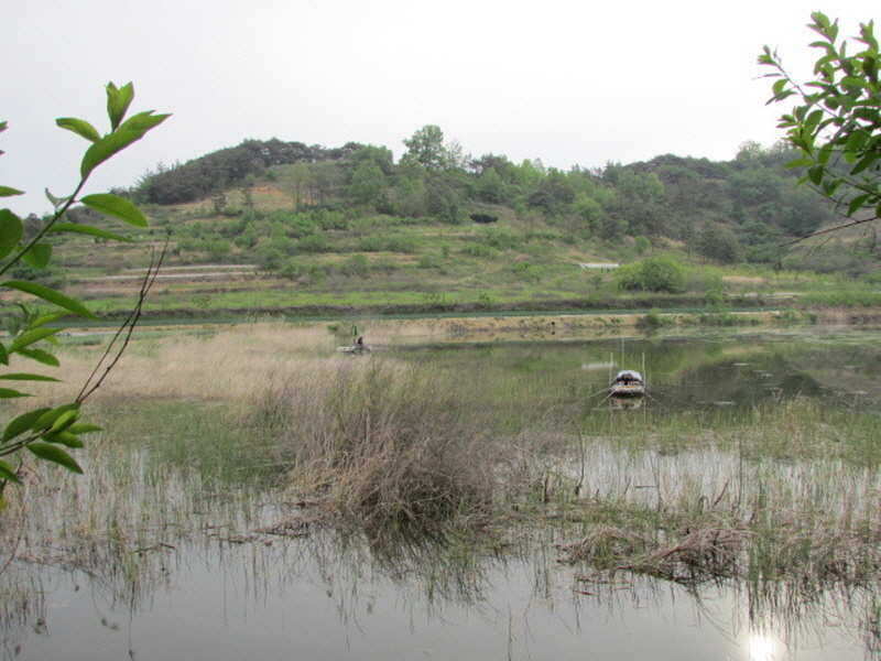 pro_johwang_12060511.jpg