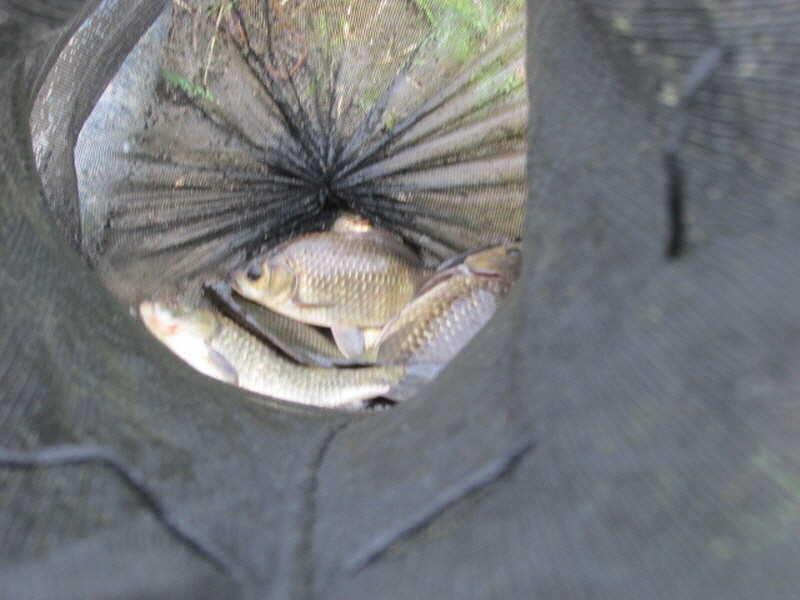 pro_johwang_12085043.jpg