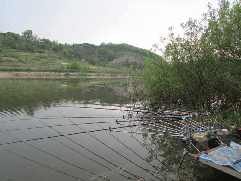 pro_johwang_12090325.jpg